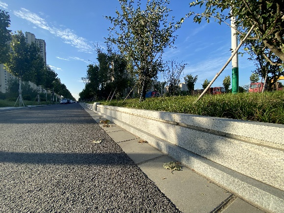 開創路北延項目1.png