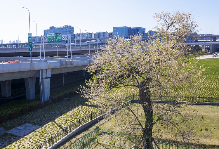 未標(biāo)題-1.jpg