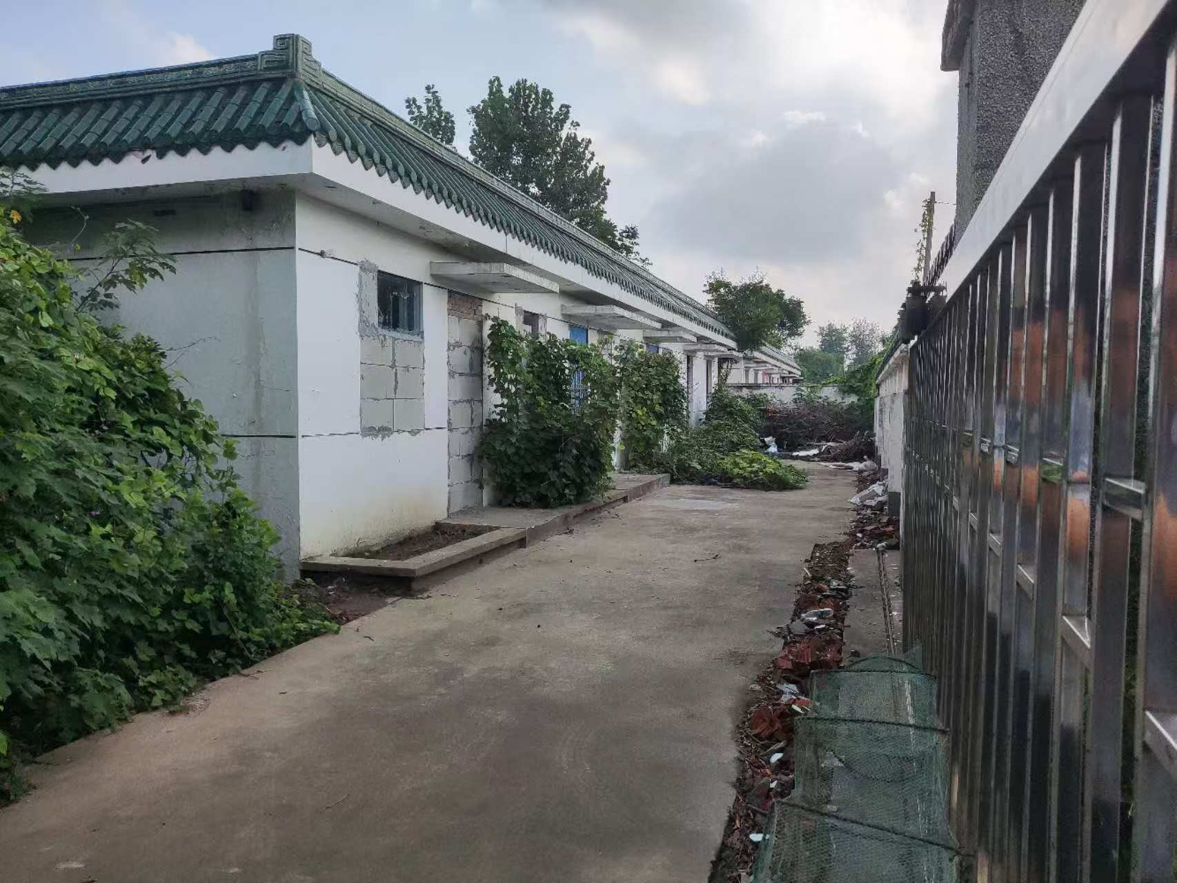 西側小院1.jpg