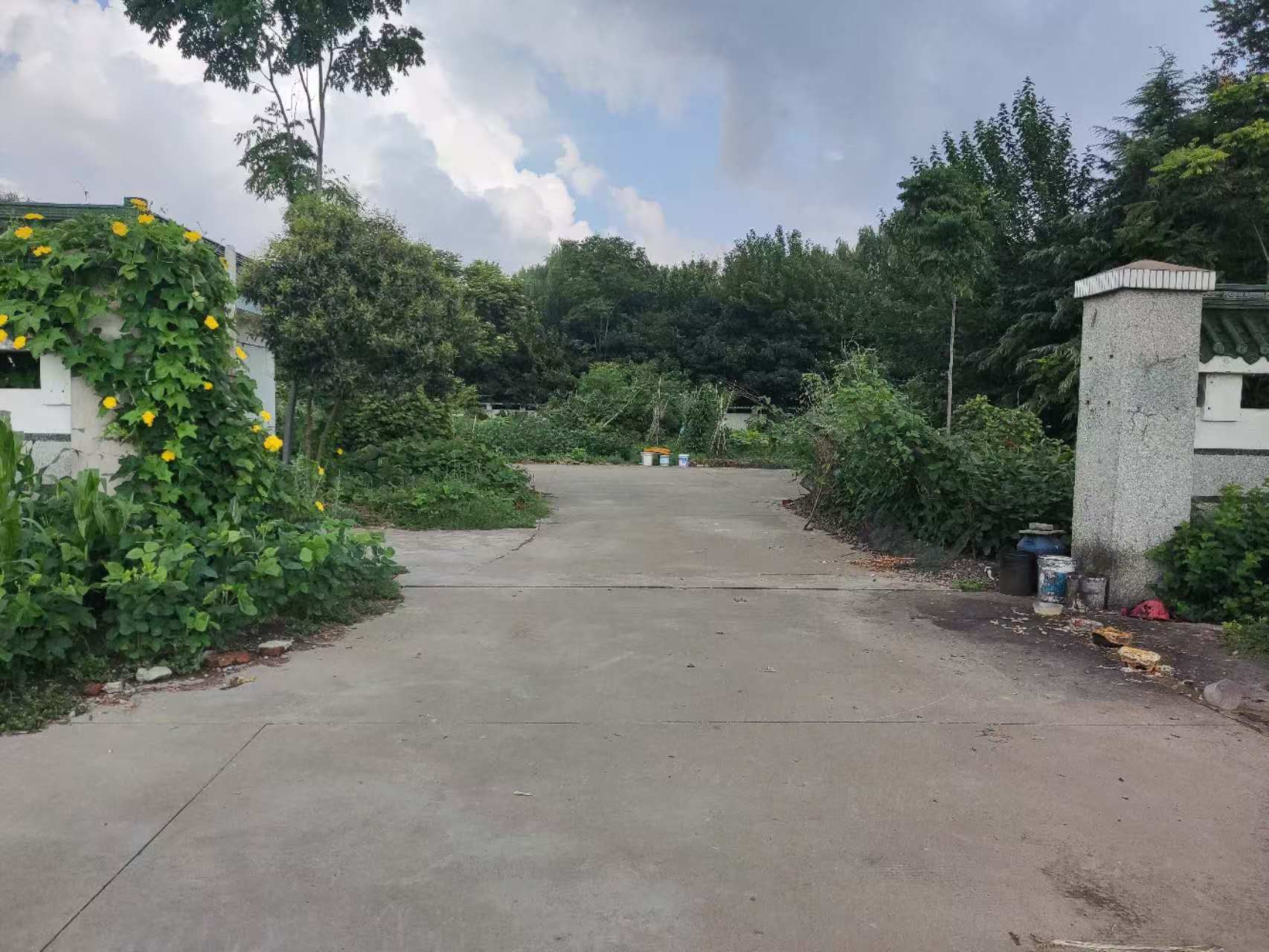 東側小院1.jpg