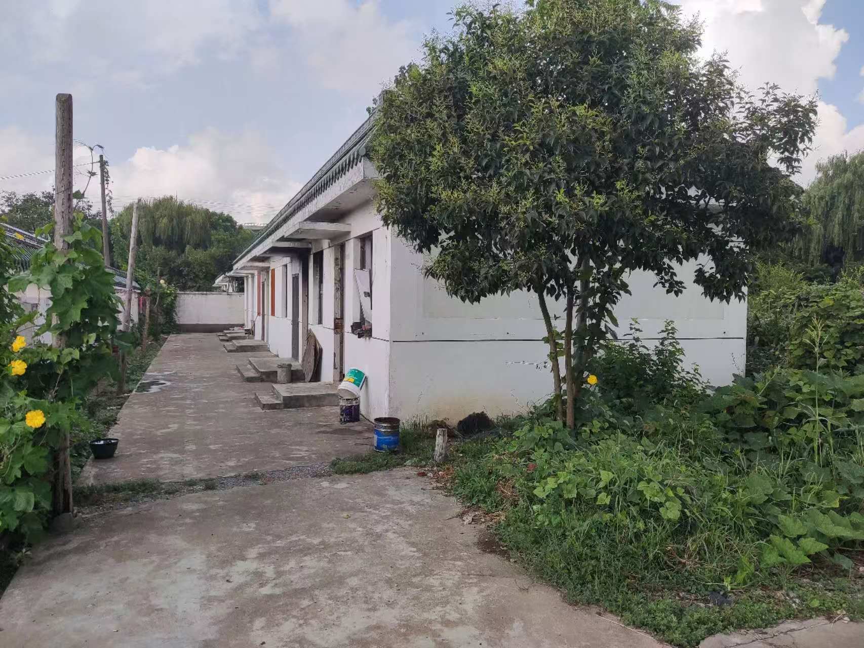 東側小院2.jpg